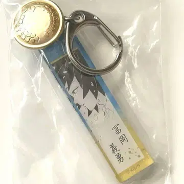 귀멸의 칼날 귀살대 의류 버튼 아크릴 참 컬렉션 토미오카 기유