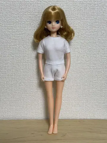 리카짱 캐슬 돌려입기 코디 모델 히나짱