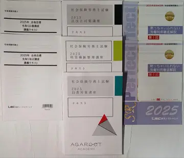 2025년 사회보험노무사 직전 대책 법 개정 횡단 백서 노동 판례