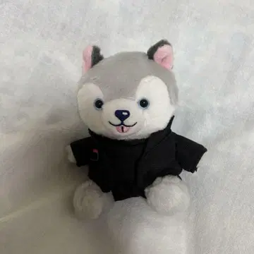 노키도아 토오리견 마츠무라 호쿠토 봉제 인형