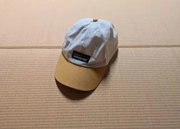 파타고니아 Patagonia 캡