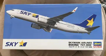 스카이마크 보잉 737-800 하세가와