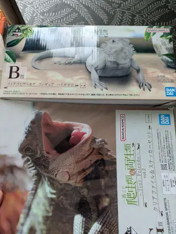파충류 양서류 제일복권 턱수염도마뱀 피규어