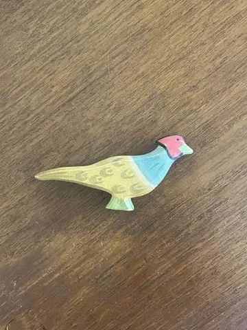 오스트하이머 키지