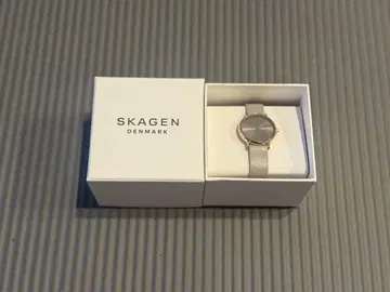 SKAGEN 그레이 가죽 손목시계