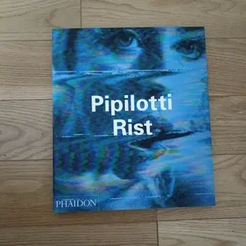 Pipilotti Rist 피필로티 리스트 작품집