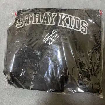 StrayKids 스키즈 dominATE 에코파 아프그레