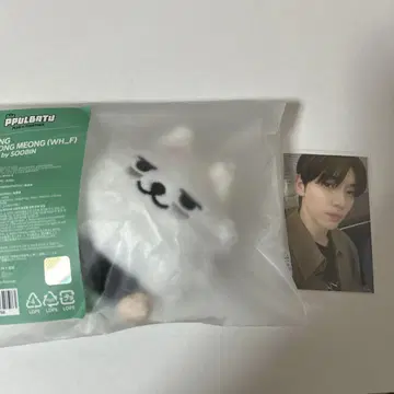 txt 뿔바투 연몽 키링 수빈