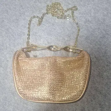 ZARA 2WAY 체인 백