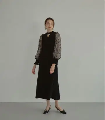 ANDRESD 슬리브 자수 드레스