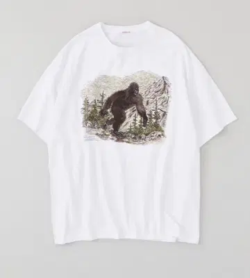 NICENESS 25AW U.BERNARD / Bigfoot