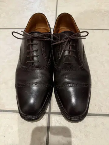 스코치 그레인 가죽 신발 24cm SCOTCH GRAIN 24cm