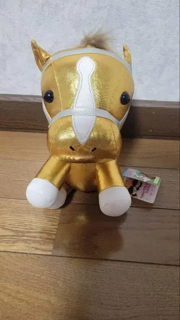 노던호스파크 오리지널 모델 앉은 자세 호스 아이돌 호스