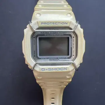 CASIO G-SHOCK 러버즈 컬렉션 DW-5000LV 1545
