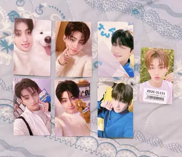 TWS 지훈 7장 세트 트레카