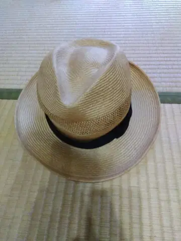 이시다 제모