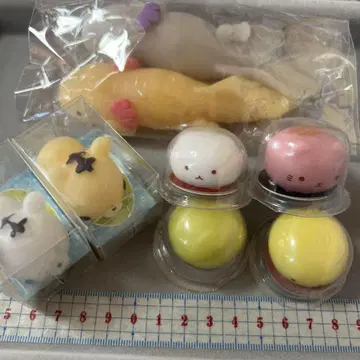 스퀴즈 세트
