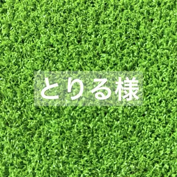 브릿지스톤 투어 Bx