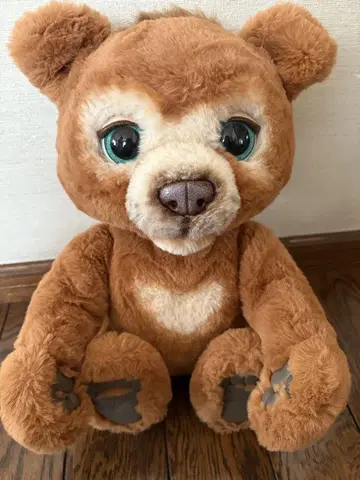 레어 퍼리얼 아기 곰 캐비 furReal 노는 게 제일 좋아