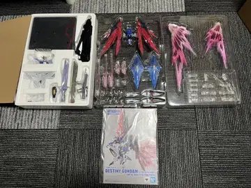 METAL BUILD 데스티니 건담 풀 패키지 2024