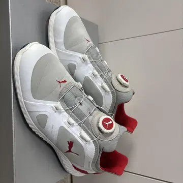 Puma IGNITE 골프화