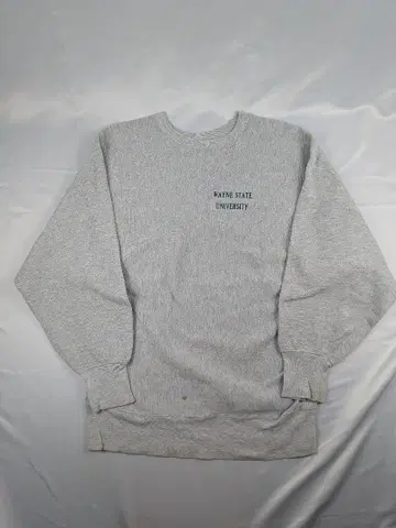Champion RW 90s WAYNE STATE UNIVERSITY
