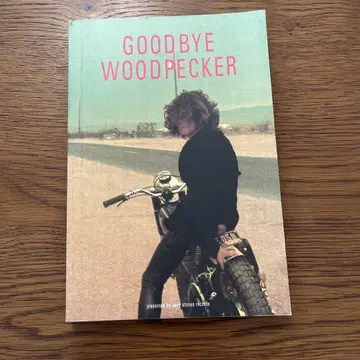 아사이 켄이치 GOODBYE WOODPECKER