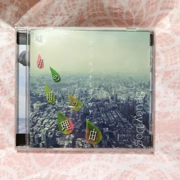 Saucy Dog 거짓 달, 비의 이유 단종 CD