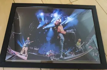 슈퍼 비버 타워레코드 당선 패널