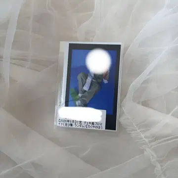 초특급 타쿠야 브로마이드