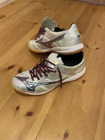 Mizuno 알파 풋살화 화이트/멀티 컬러