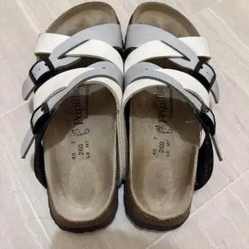 버켄스탁 파필리오