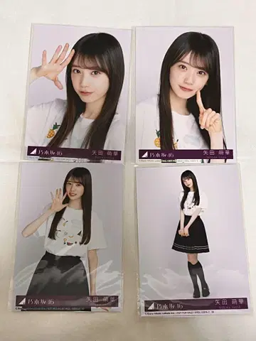 노기자카46 Same numbers 봉입 브로마이드 컴프
