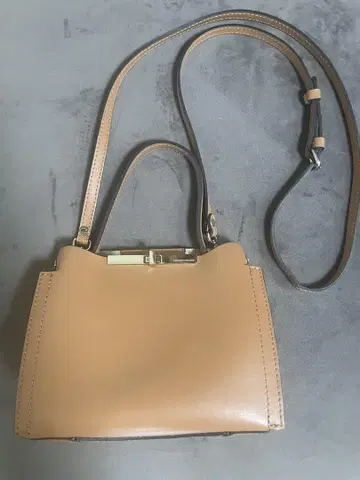 지아니카리니 숄더백