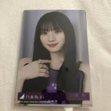 키사카46 카와사키 벚꽃 Same numbers 브로마이드 노기자카