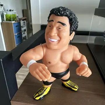 텐류 겐이치로 소프비