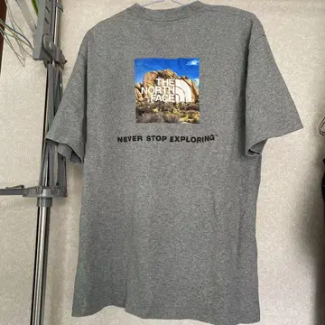 THE NORTH FACE 그레이 티셔츠