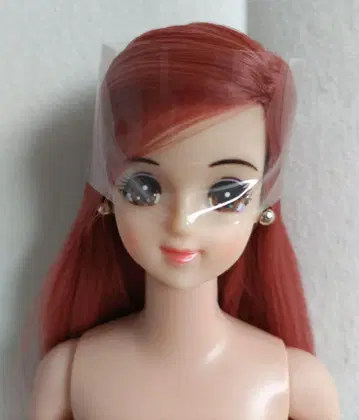 리카 캐슬 제니 차분한 색상의 빨간색 계열 헤어 하자 있음
