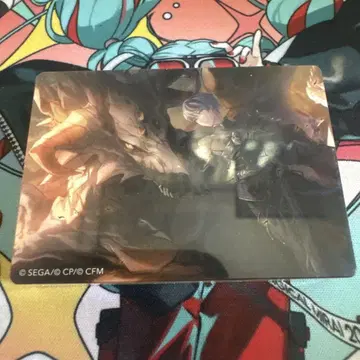 노블 아트 아오야기 토우야