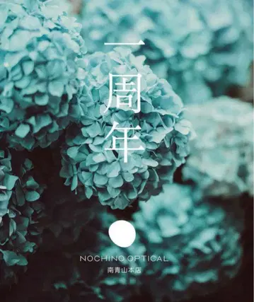 NOCHINO OPTICAL NOCHINO 한정 Ajisai Blue