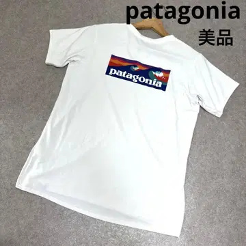 patagonia 파타고니아 티셔츠 캐플린 쿨 데일리