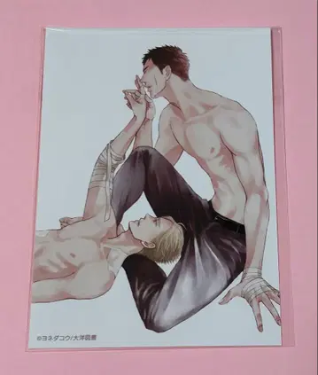요네다 코우 지저귀는 새는 날갯짓하지 않는다 트레이딩 브로마이드 G