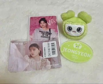 TWICE 정연 봉제 인형 링 네임 플레이트 클리어 트레이딩 카드 스티커
