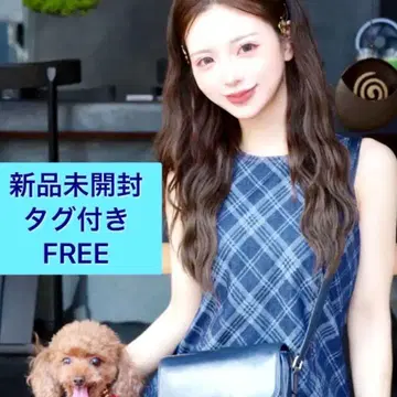 미개봉 새상품 다리치 바이어스 체크 데님 미니 원피스 FREE 블루