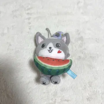 JOCHUM 츄라라 후르츠 시리즈 마스코트 JO1