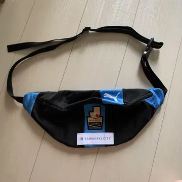 가와사키 프론탈레 사코슈