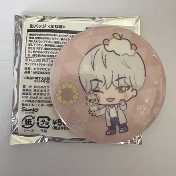 SEVENTEEN 산리오 캔뱃지 호시