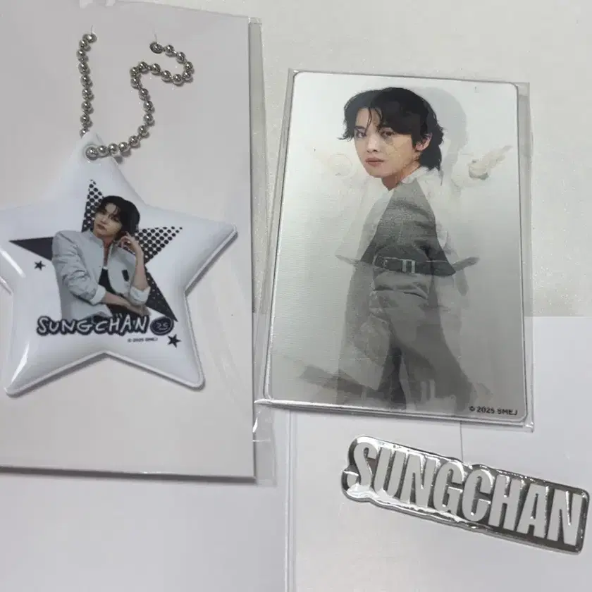 RIIZE ランダムトイ　ソンチャン SUNGCHAN コンプリート 6点セット RIIZE | 라이즈 Riize Japan Concert Rising Loud Random Toy