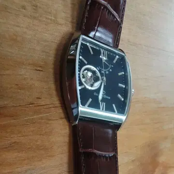 ORIENT STAR 오리엔트 스타