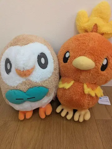 포켓몬 모쿠로 아차모  봉제 인형